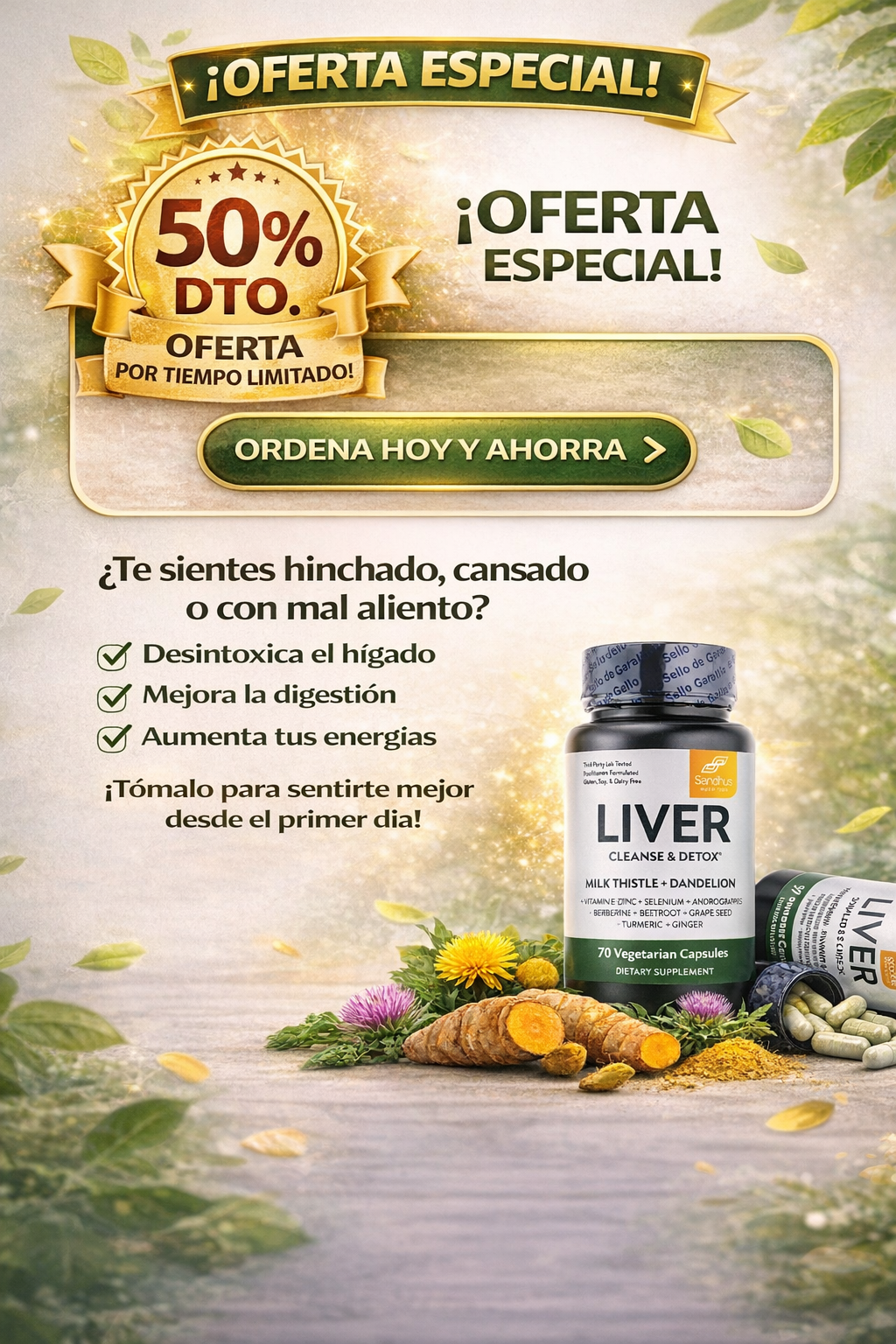 LIVER DETOX - DESINTOXICADOR HIGADO