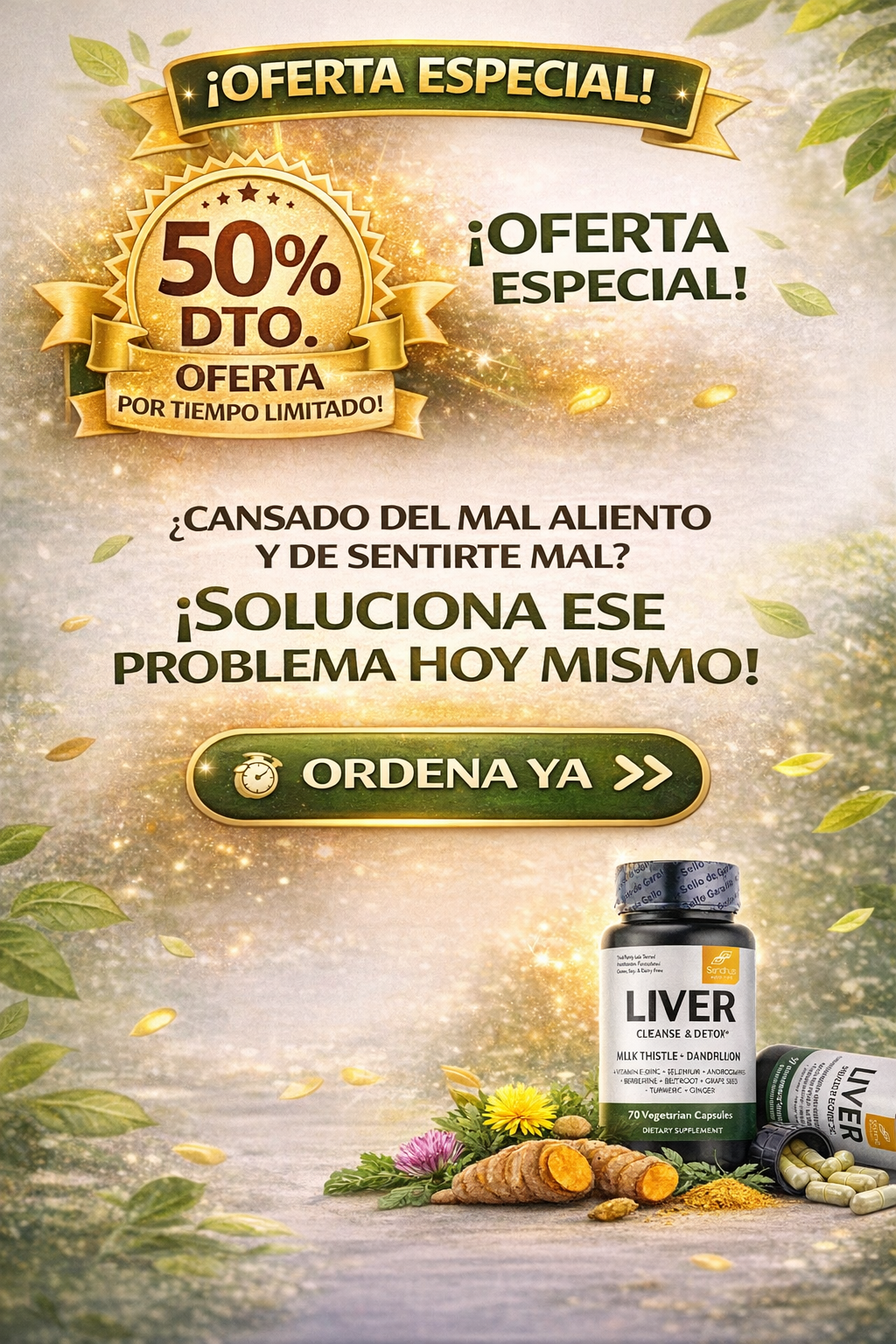 LIVER DETOX - DESINTOXICADOR HIGADO